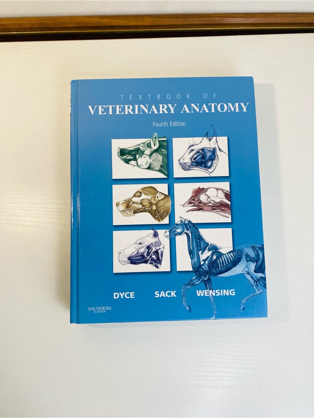 Textbook of Veterinary Anatomy 4th Edition Dyce Sack Wensing Hardcover
